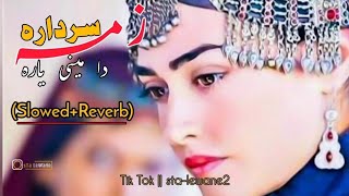 Zama Sardara  SlowedReverb  Pashto New Song  Sofia Kaif Yam Be QararaSlowReverbPashto Song [upl. by Ellezaj]