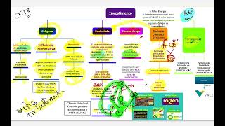 Participações societárias permanentes ANC Investimentos [upl. by Modeerf380]