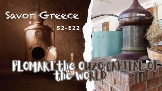 Plomari at Lesvos Island the Ouzo Capital of the World learn how to drink Ouzo s2e22 [upl. by Krissy]