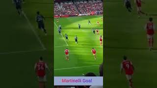 Martinelli Goal [upl. by Nessie]