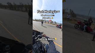 Some Fast Harley’s Drag Racing 🔥 motorcycle bike harleys harley harleydavidson biker racing [upl. by Herbie]