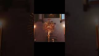 Oración frente al Santísimo Sacramento fe amor jesus shorts video [upl. by Sanger]