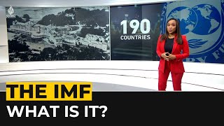 What is IMF and why does it matter [upl. by Irt555]