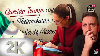 Vídeo Reacción A Tipito Live Sobre Sheinbaum VS Trump 🤔🇲🇽⚔️🇺🇸 [upl. by Glanti]