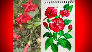 How to Draw a Hibiscus Flower Step by Stepcreative and easy craft 🌺 Hibiscus 🌺 [upl. by Akinar]