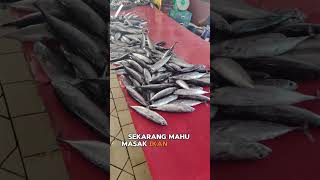 tuaran Banyak jenis ikan [upl. by Ruhtracm595]