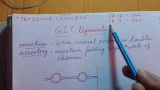 GIT ligaments  Easy explanation for USMLE Step 1 [upl. by Kciderf]