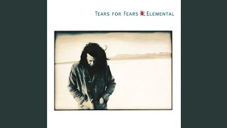 Tears For Fears  Mr Pessimist Lyrics [upl. by Latreshia]