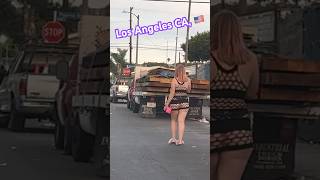 🤩🌴 Los Angeles Hoods shorts viralvideos usa shortvideos 11152024 [upl. by Selrahc]