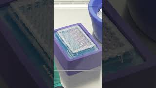 Corning Matrigel® Matrix Coating Protocol  Microplates [upl. by Brace]