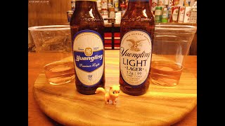 Yuengling Light Lager 40 Vs Yuengling Premium Light 35  Taste Challenge Thursday [upl. by Oiuqise118]