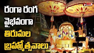 Tirumala Sri Venkateswara Swamy Temple Brahmotsavam 2024 Ankurarpana  Mana Telangana TV [upl. by Hyps]