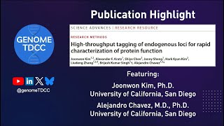 HighThroughput Tagging of Endogenous Loci for Rapid Characterization of Protein Function [upl. by Yelha]