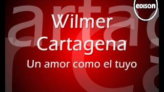 Wilmer Cartagena Un amor como el tuyo [upl. by Hyatt102]