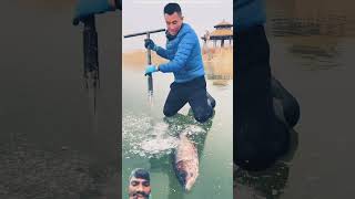 fishing icefish carpfishing [upl. by Ranite]