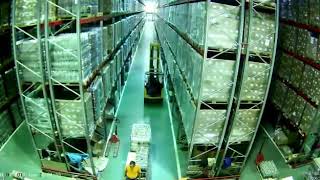 Watch Forklift DESTROY Entire Warehouse [upl. by Malvin]