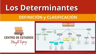 Los DETERMINANTES 🔴 Definición y Clasificación [upl. by Kala]