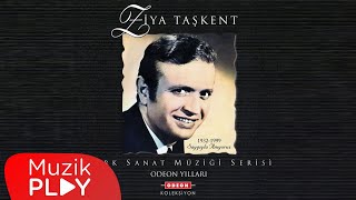 Ziya Taşkent  Ben Gamlı Hazan Official Audio [upl. by Sivrahc]