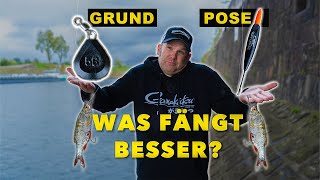 Grund oder Posenmontage Raubfischangeln mit Köderfisch im Hafen 🎣 [upl. by Gunilla371]