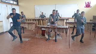 Mbuya Madhuve Ndega Ndega cover Churchill School Marimba Band [upl. by Nuj]