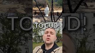 quotCudquot w Argentynie religia kosciol wiara maryja pożar argentyna shorts debunk [upl. by Darrill]