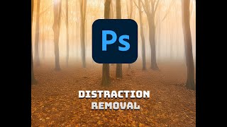 Distraction removal in Adobe Photoshop  Adobe Photoshop [upl. by Rivers]