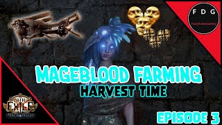 Lets farm a Mageblood Episode 3  Harvest Time Path of Exile 324 [upl. by Byrann899]