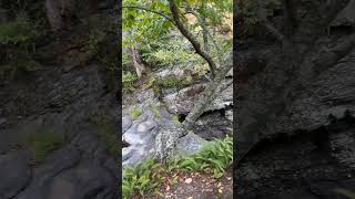 Poconos poconos hiking freshwing ilovemywings dreamsport flylikeabiro insta360X4 insta360 [upl. by Mighell]