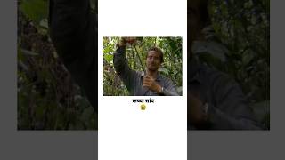 Beargrylls😂  Comment Reading  Comedy Shorts  shorts [upl. by Annodam]