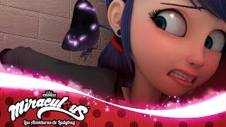 MIRACULOUS  🐞 CAMALEÓN  Akumatizado 🐞  Las Aventuras de Ladybug [upl. by Aneladdam]