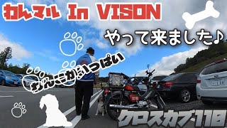 クロスカブ110で行く初めてのワンコイベント‼︎わんマル In VISONへGO♪【モトブログ】 [upl. by Zora457]