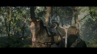 Red Dead Redemption 2 i love Arthur [upl. by Jaret]