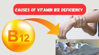 Causes of Vitamin B12 Deficiency You Never Knew  Medications and Vitamin B12 Deficiency [upl. by Anilam950]