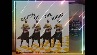 Camomilla ‎– Queen Of The Night 12quot Maxi 1985 [upl. by Aimas]