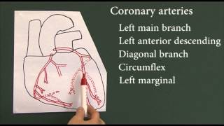 Heart disease 9 Coronary arteries [upl. by Enalda]