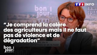 Annie Genevard quotJe comprend la colère des agriculteursquot ｜TF1 INFO [upl. by Laeno594]