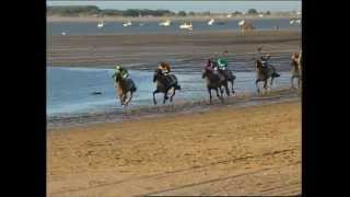 CARRERAS DE CABALLOS DE SANLÚCAR DE BARRAMEDA [upl. by Soble]