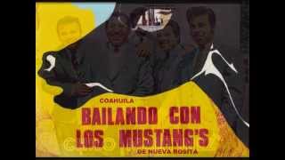 LOS MUSTANGS DE NUEVA ROSITA  LA PIRAGUA  VINYL AUDIO [upl. by Wilhelmina]