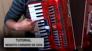 Tutorial Bendito Cordero De Dios Sol [upl. by Keating]