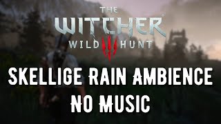 Skellige  Duan The Witcher Soundtrack [upl. by Oileve]