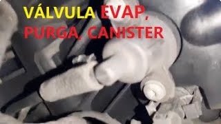 RUIDO molesto de válvula EVAP CANISTER PURGA Mercedes B gasolina pero FUNCIONA CORRECTAMENTE [upl. by Cecil]