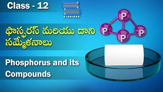 ఫాస్ఫరస్ మరియు దాని సమ్మేళనాలు – Phosphorus and its compounds  Chemistry  Class 12  2nd Year [upl. by Apollo477]