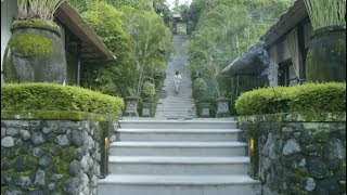 A peek inside Luke Darcys Bali retreat Sukhavati [upl. by Etteniotnna805]