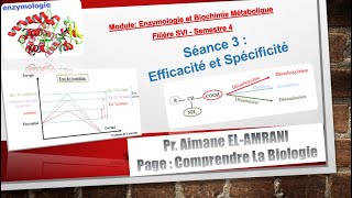 Séance 3  Propriétés des enzymes [upl. by Norm]