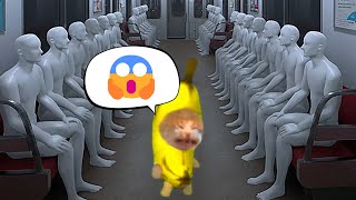 Banana Cat Entered a Strange Subway😹🍌FULL EPISODE [upl. by Gasper]