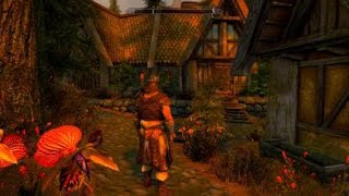 SKYRIM  HEART OF GOLD walkthrough amp Mila bug fix [upl. by Vinaya]