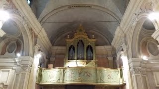 Domenico Zipoli  Elevazione in fa Chiesa di Santa Croce Villastellone [upl. by Pasahow]