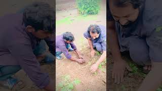 planting trees best top machine haria village video [upl. by Nohtiek]