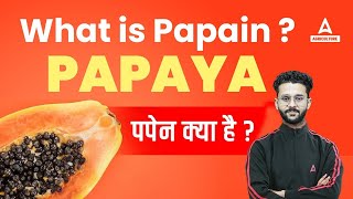 What is Papain पपैन क्या है Papain Extraction from Papaya  Papain Uses Papain Enzyme Agriculture [upl. by Shawna270]