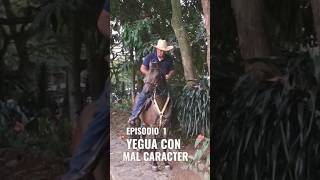 Yegua con Mal caracter  Episodio 1 caballos horse horses [upl. by Rehpretsirhc]